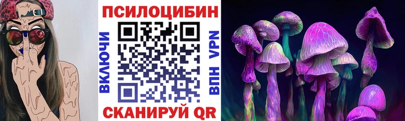 Галлюциногенные грибы Cubensis  Купить  Богородск 